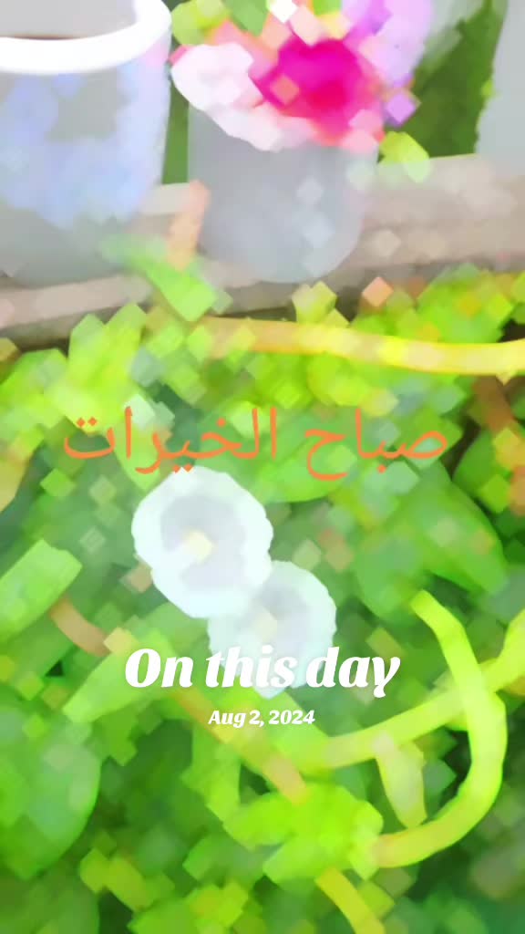 @Dina33953