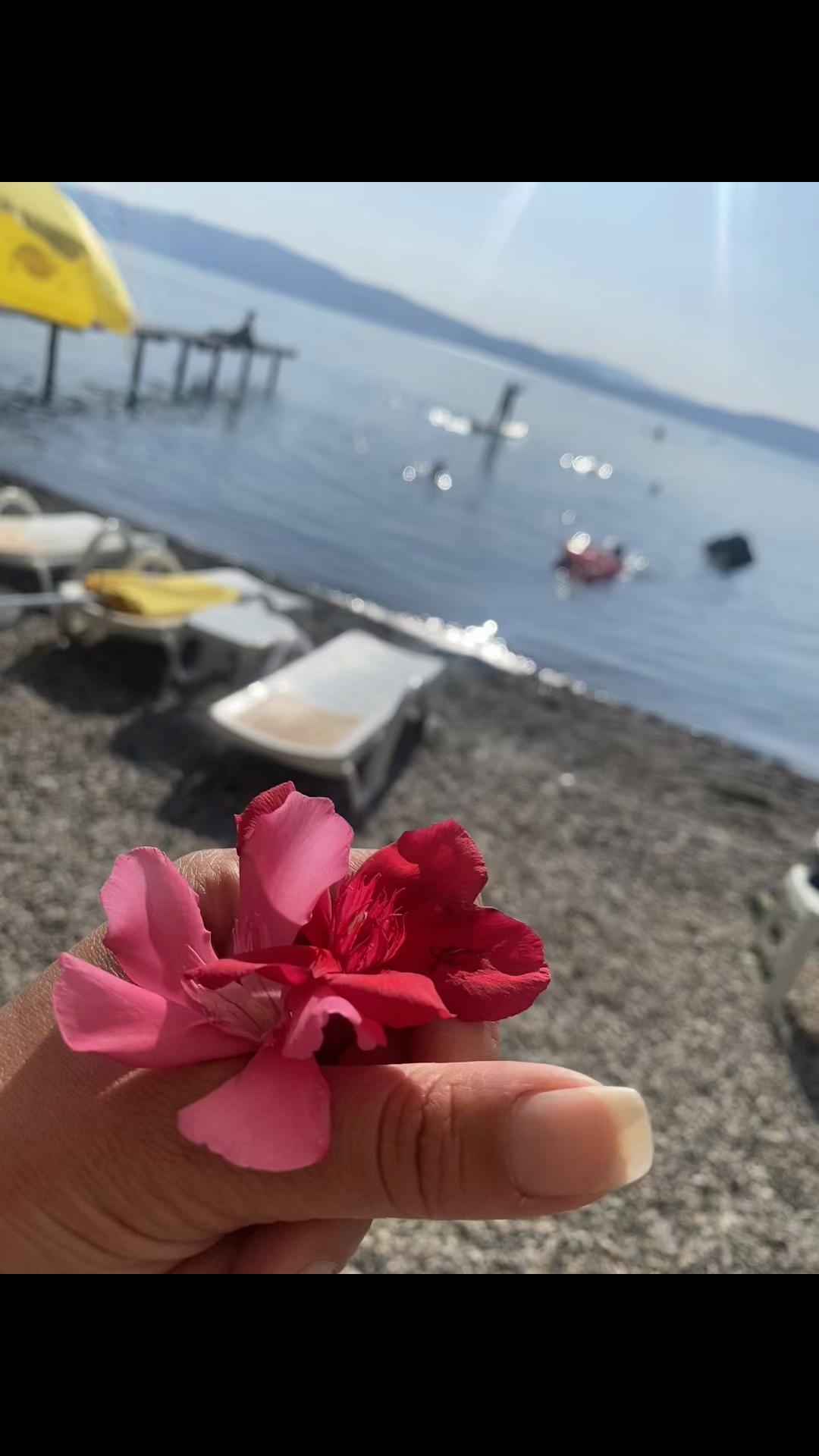 @Zogi