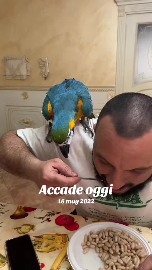 @giovanninatasciaespo