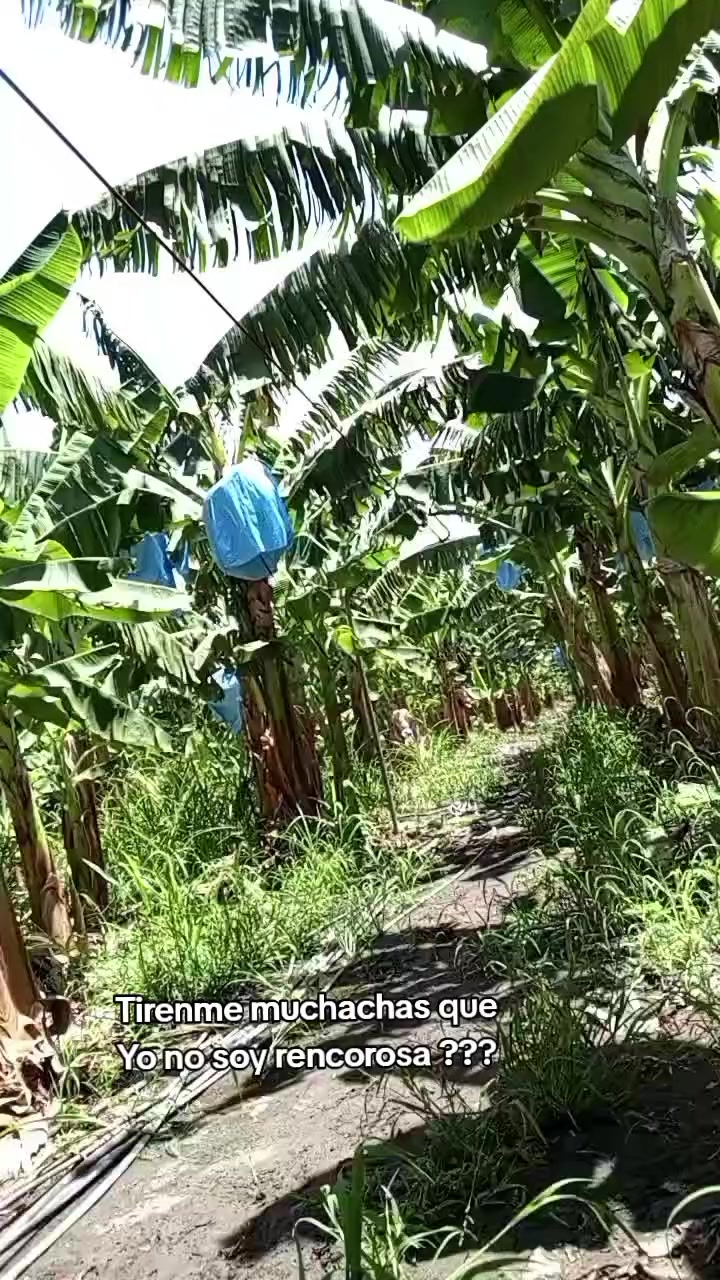 @🦋Dânŷŷ🦋