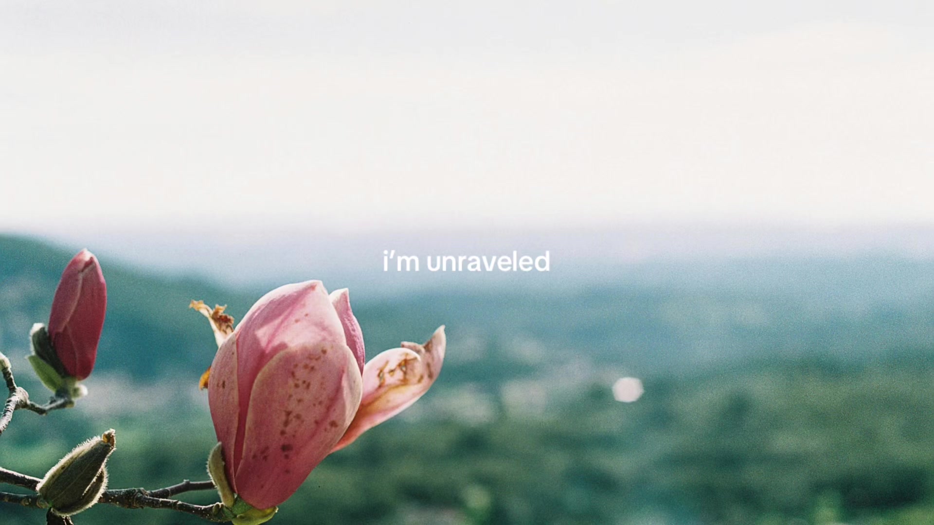 @theyearning.archive