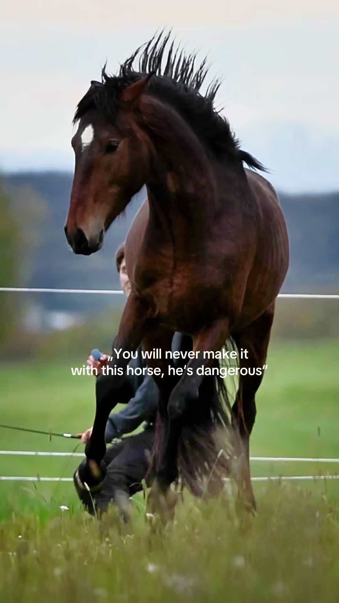 @FieryHorses ❤️&zwj;🔥