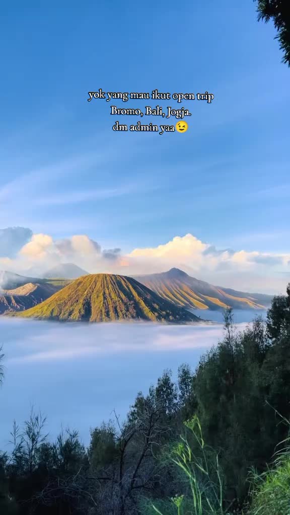 @admin suargo
