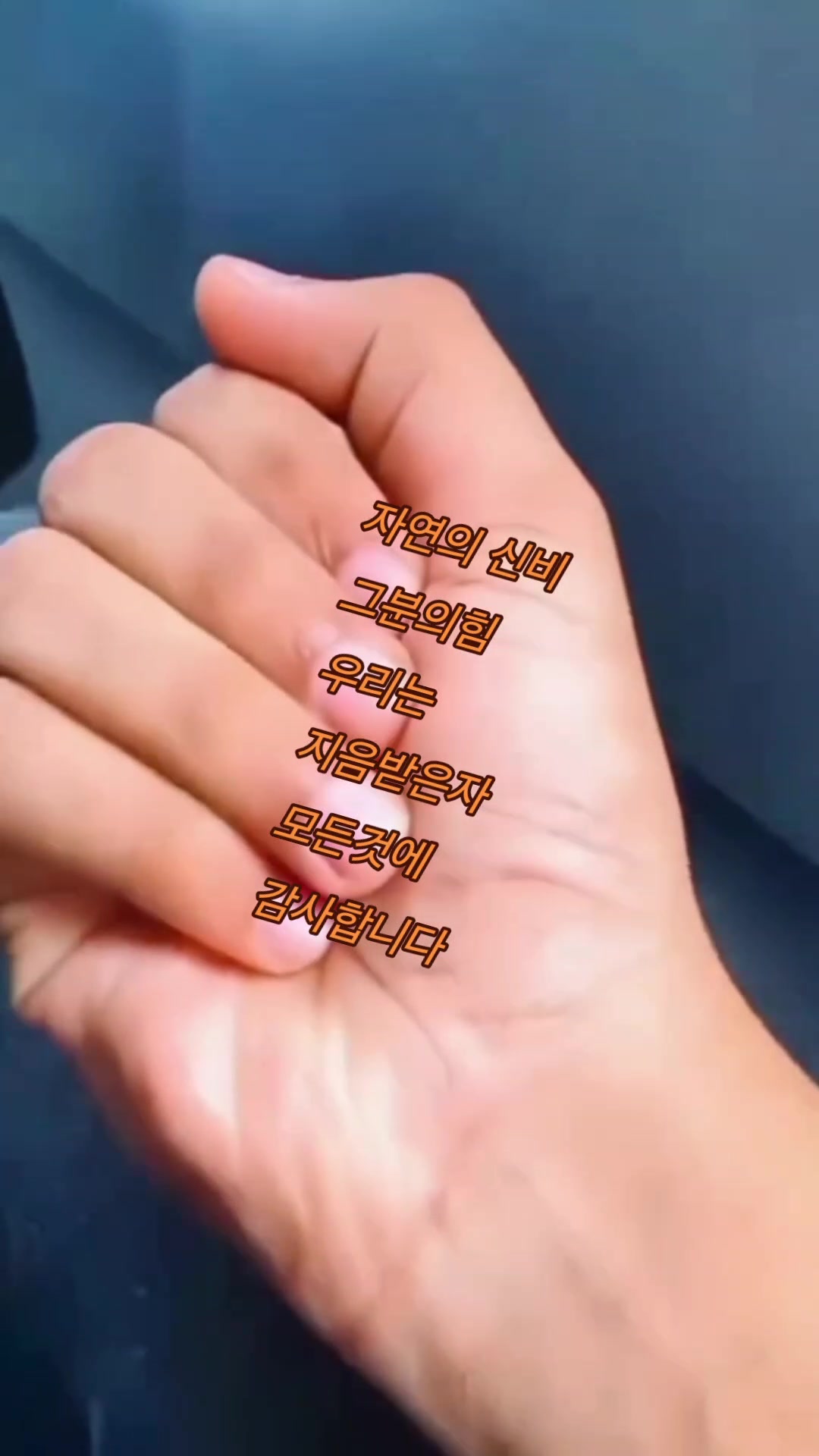 @다이야