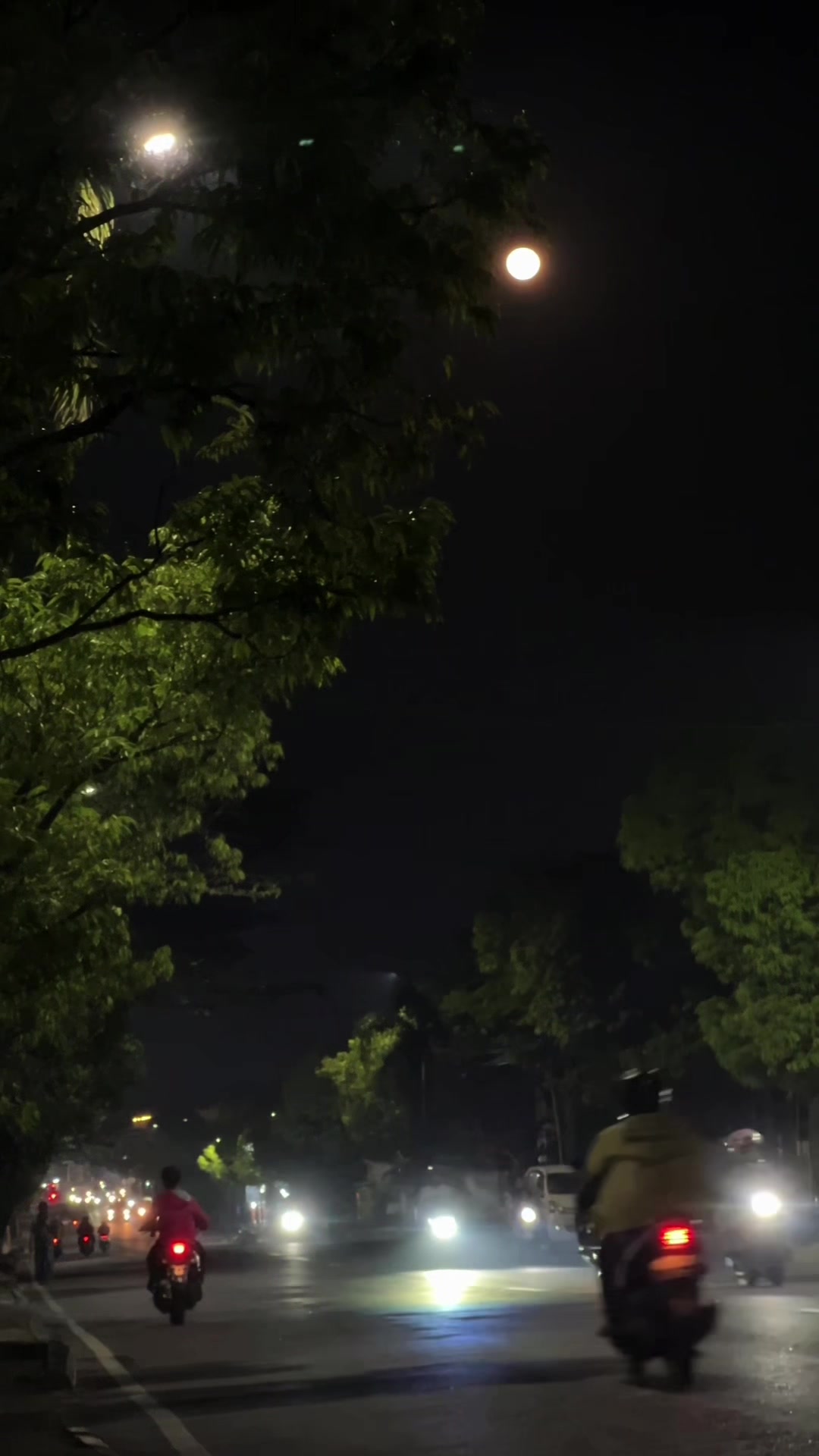 @𝙣𝙚𝙨𝙘𝙖𝙛𝙚