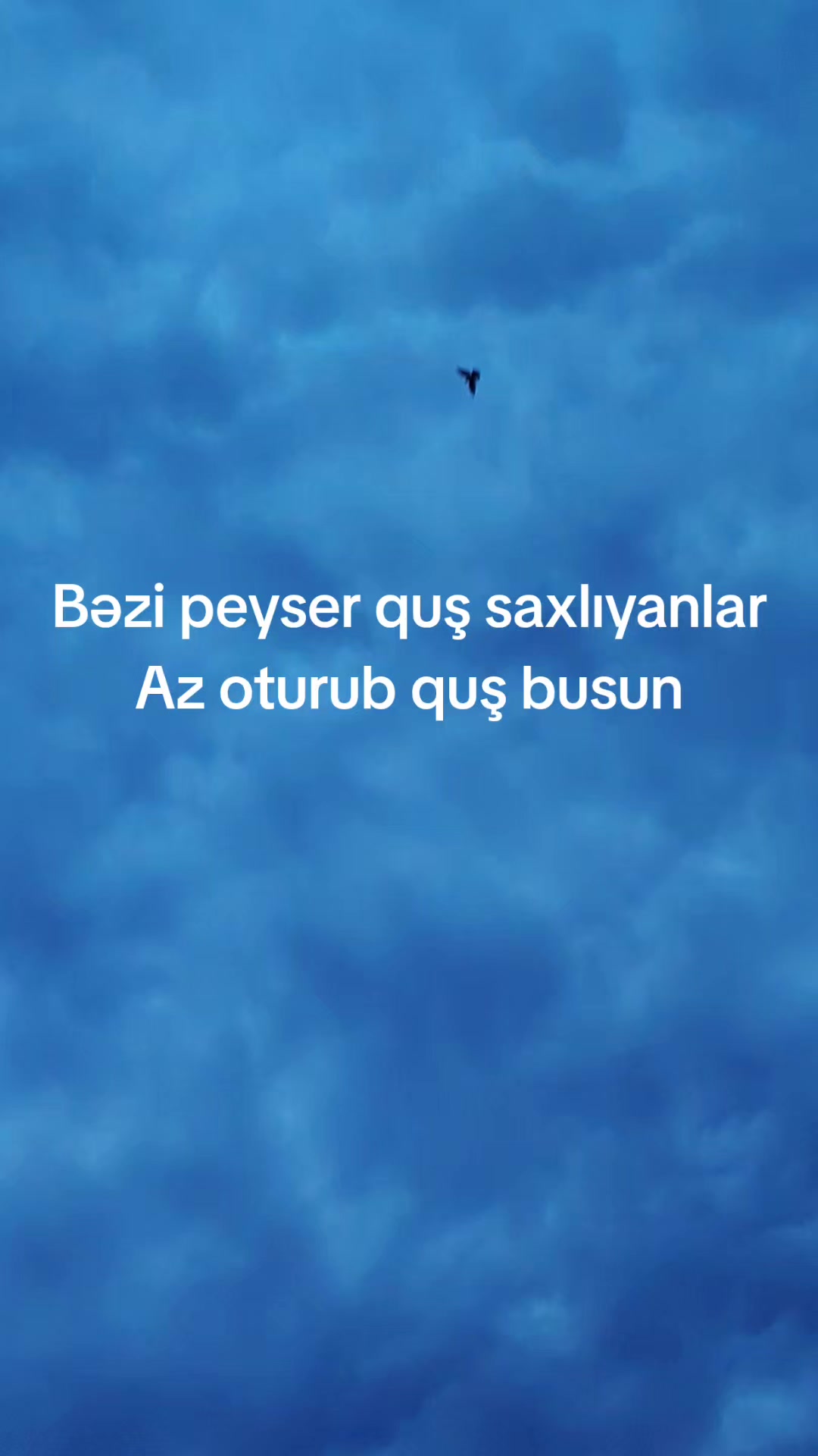 @MirAraz 984
