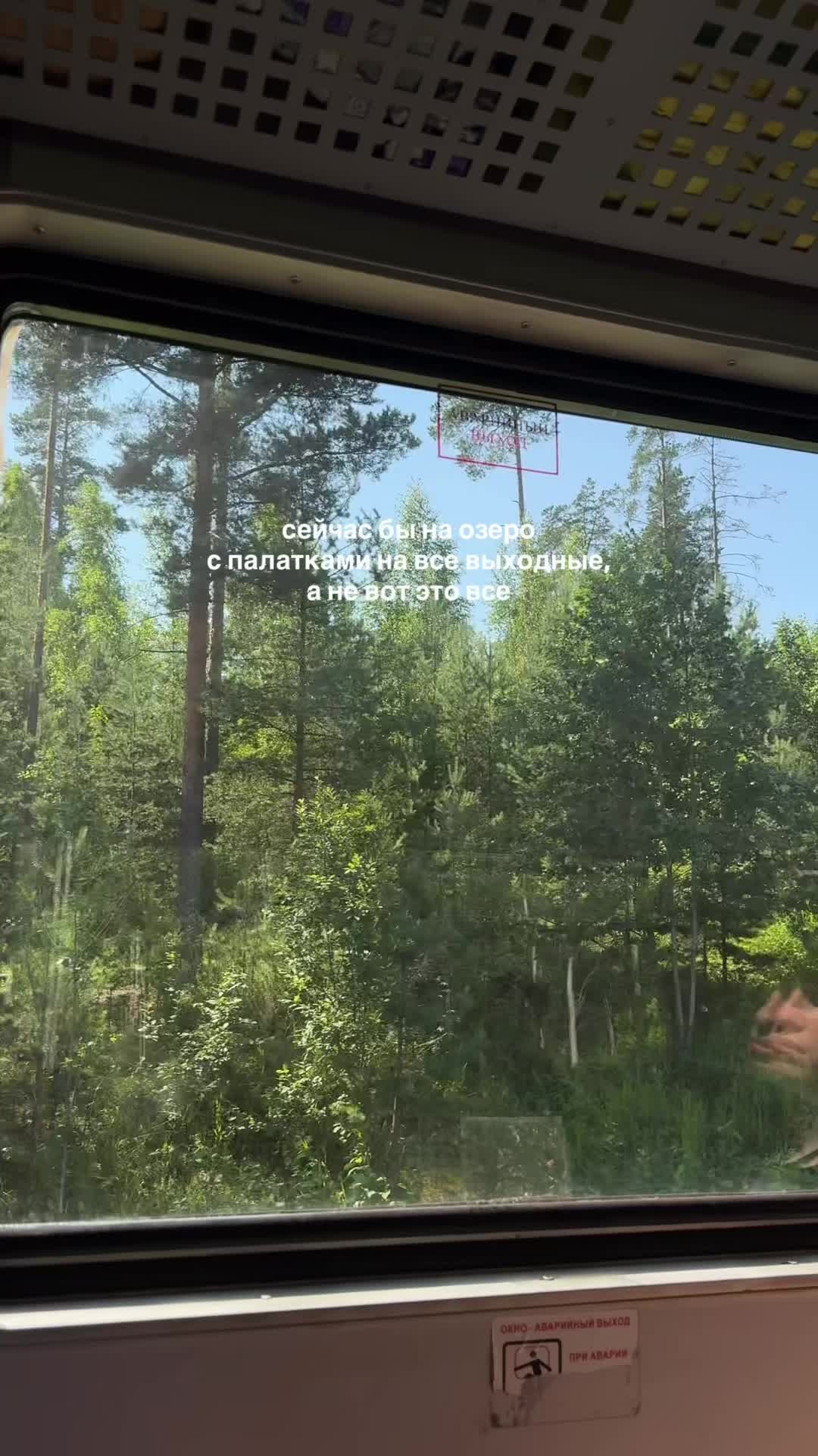 @Анжела🦊