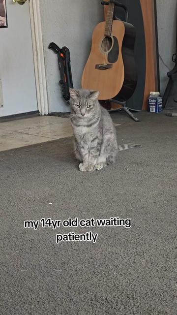 @Nekopotato