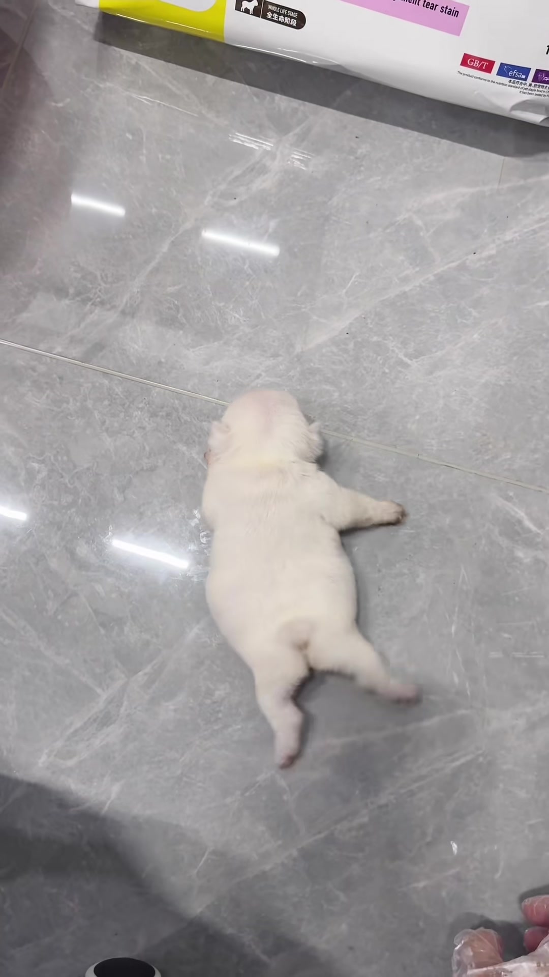 @MilkPupDaily