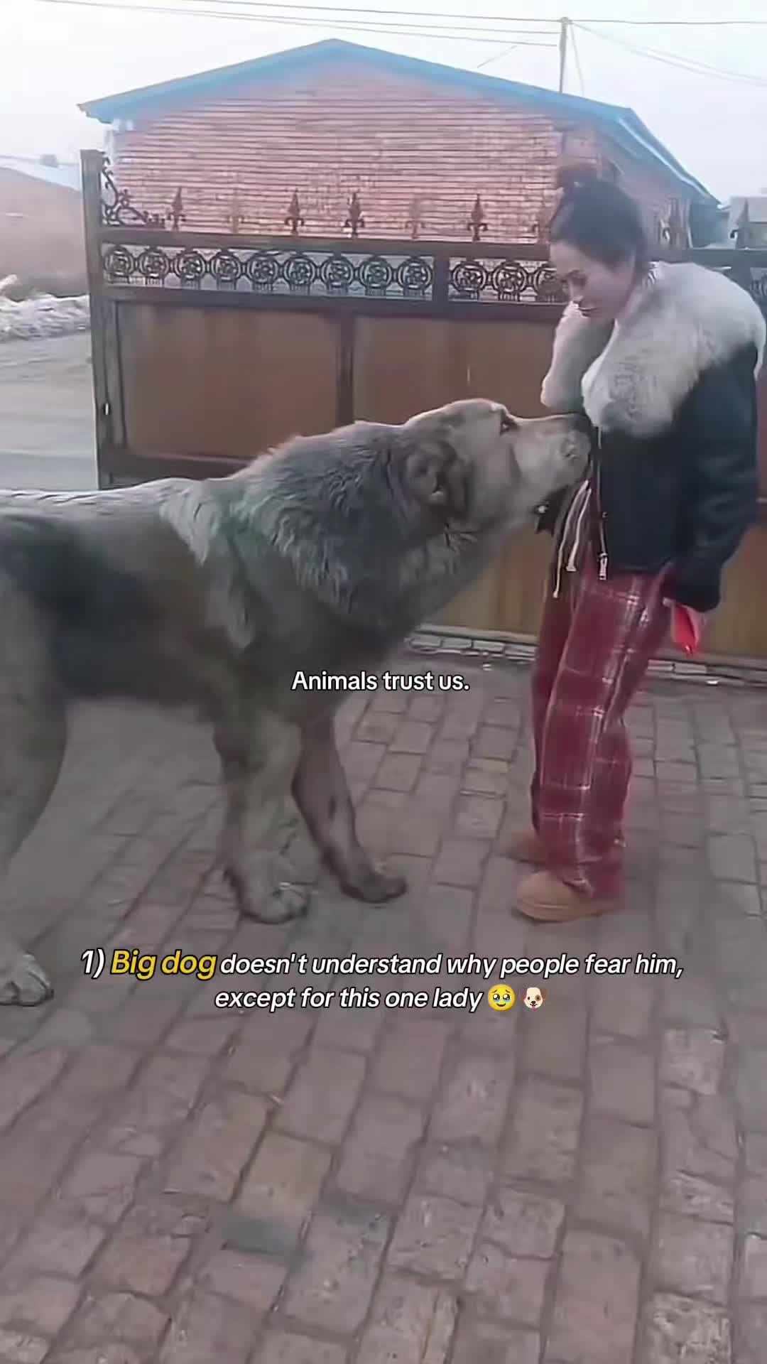 @WildwonderzZzz