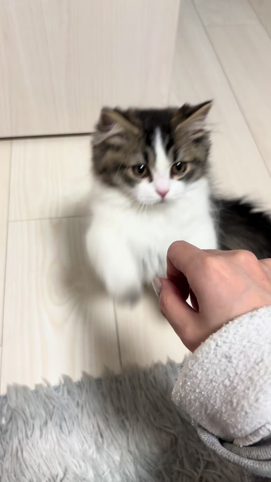 @むう