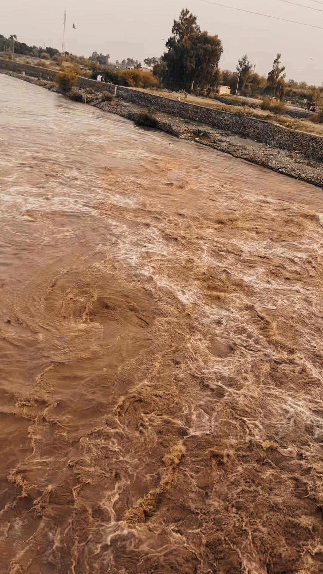 @عزیز الرحمان🌸