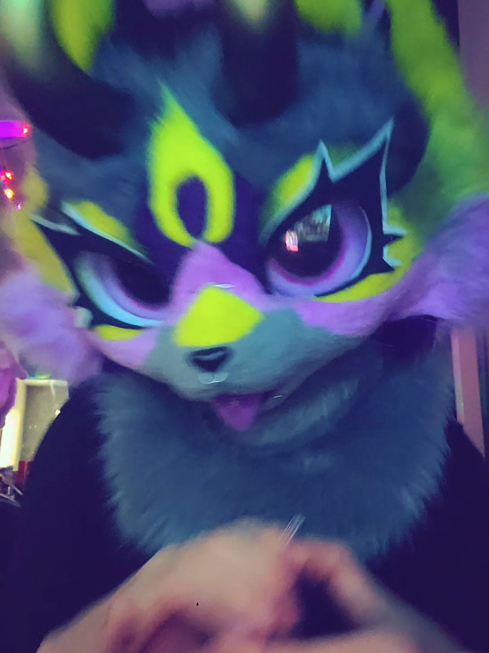 @˖°SmittenKitten⋆˚