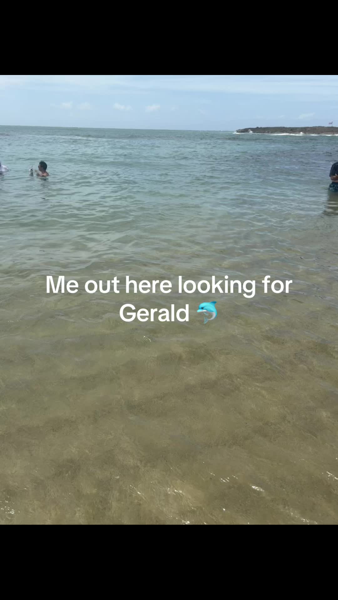 @jerseybelle