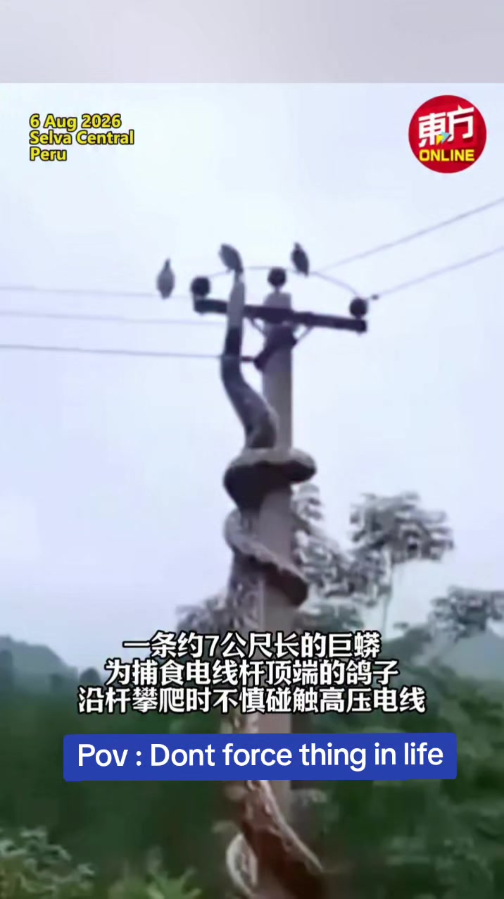 @Dennis Teo