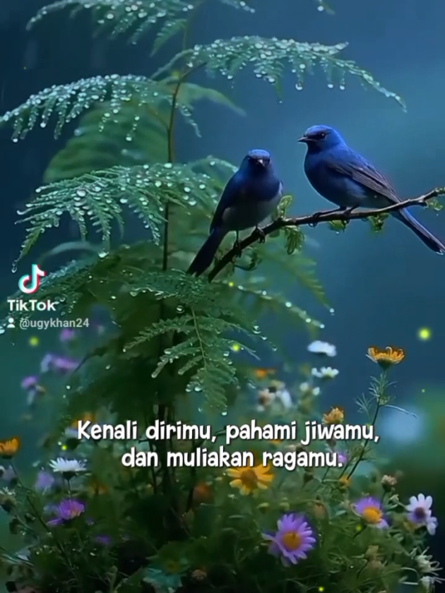 @Ugy Khan2
