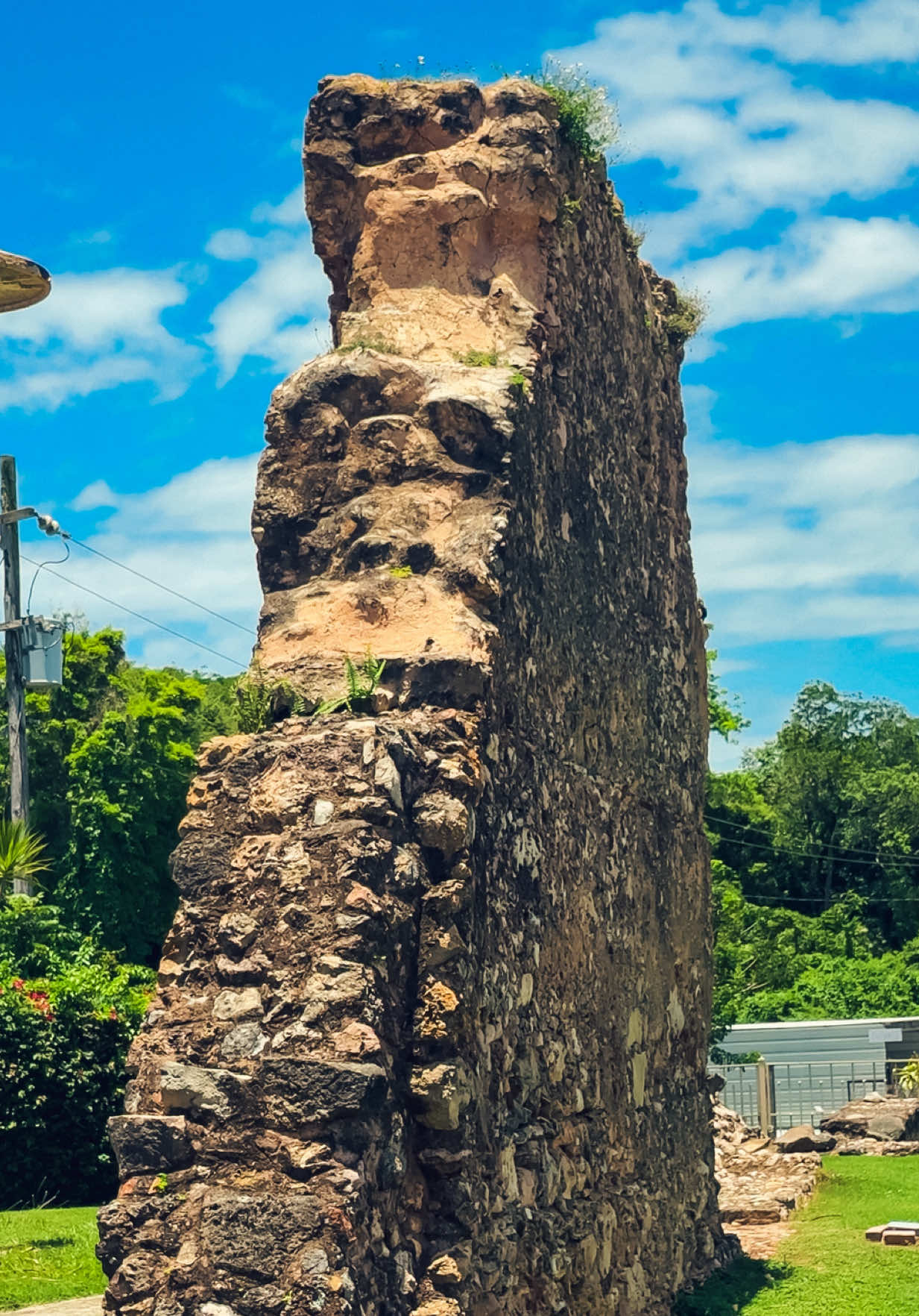 @Belton Tyrone 🇵🇷