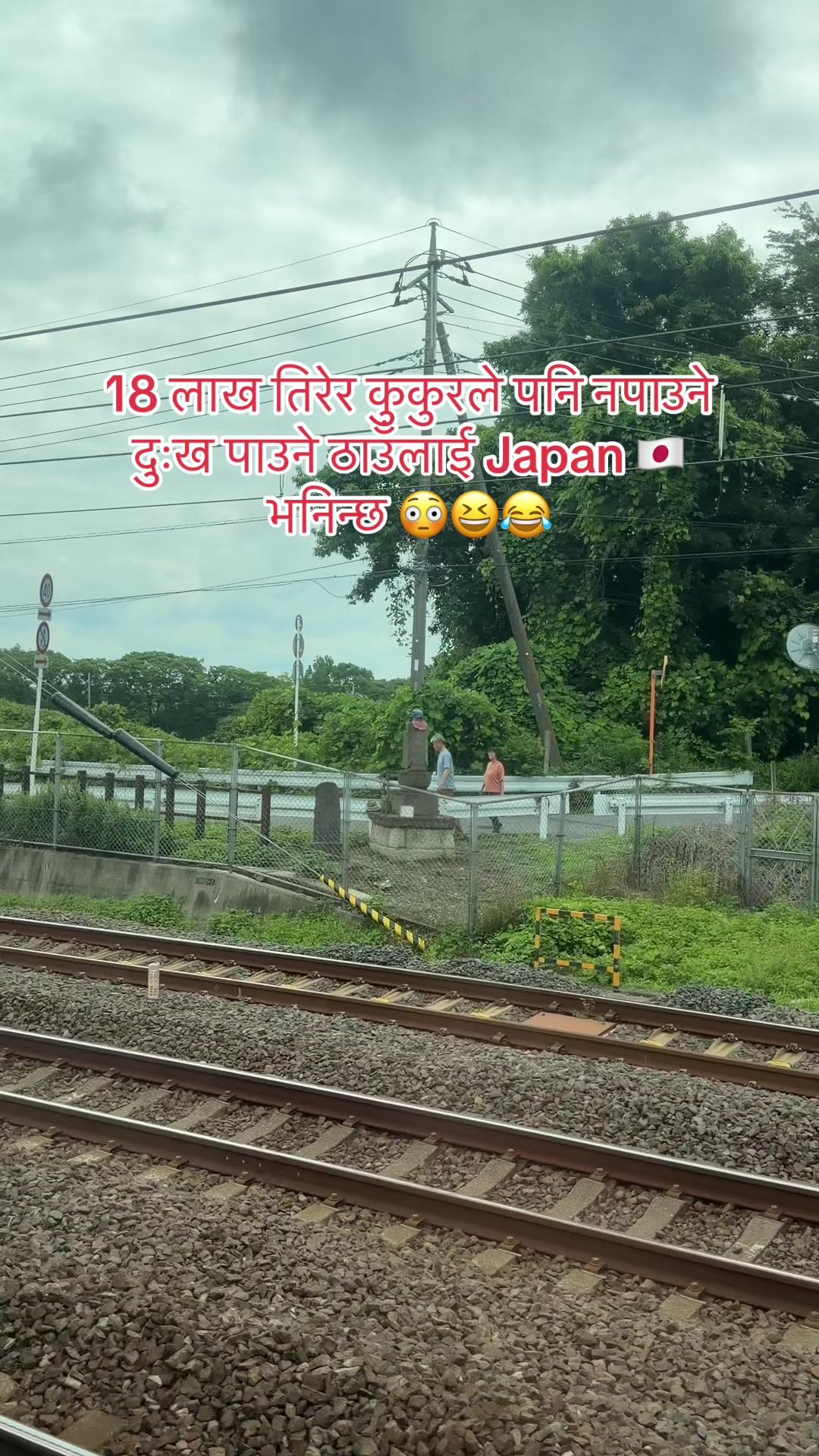 @🕊️