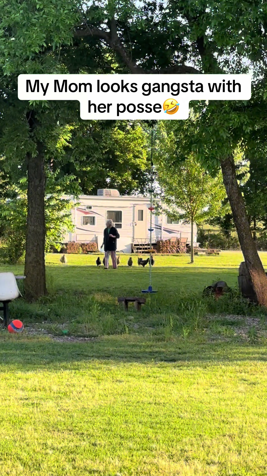 @NonniesFunnyFarm