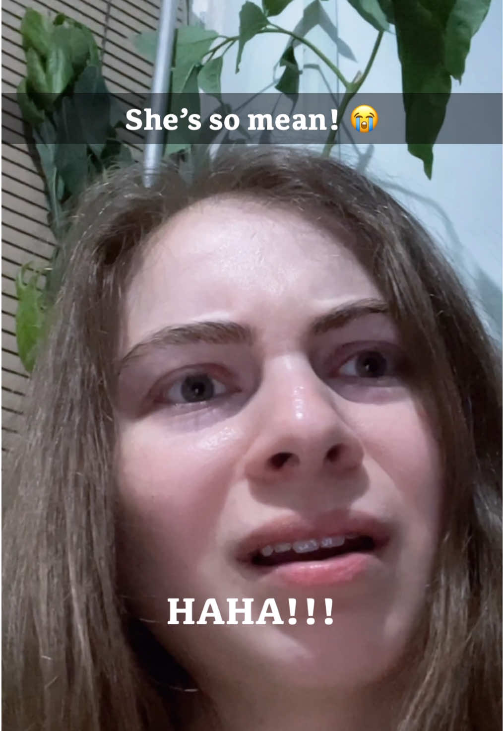 @Hangulbear