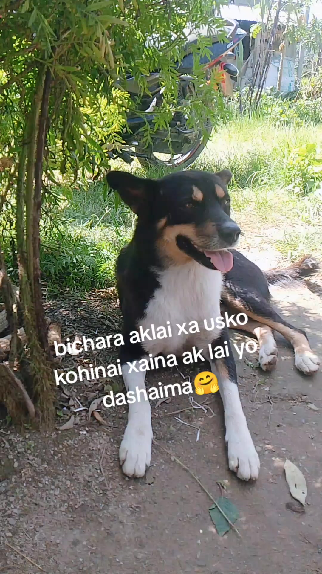 @सजिता🇳🇵