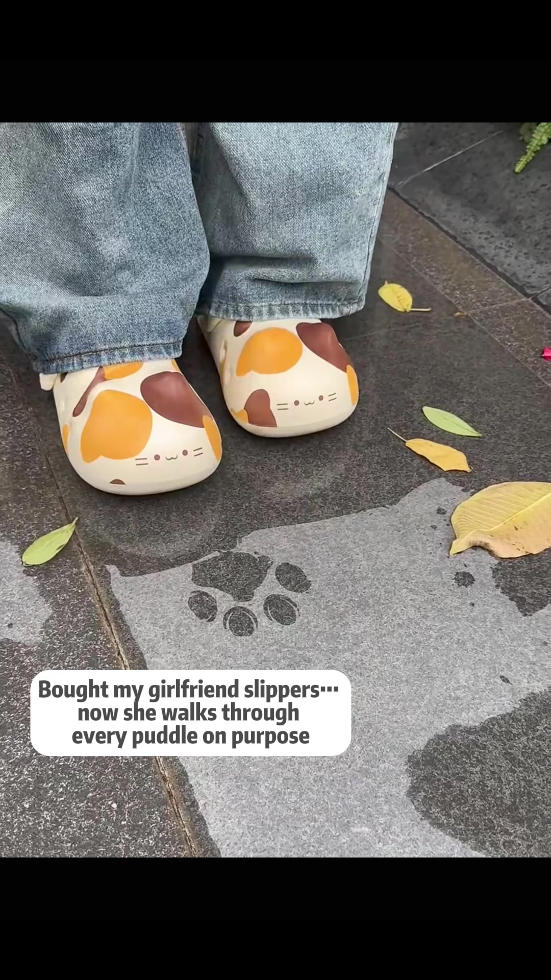 @MoewaiiCat