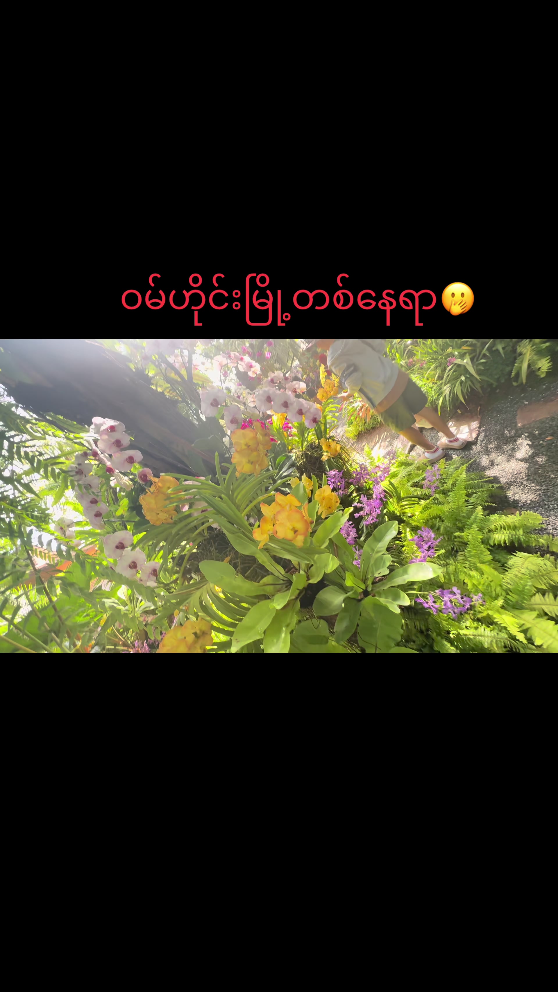 @Moon Doi
