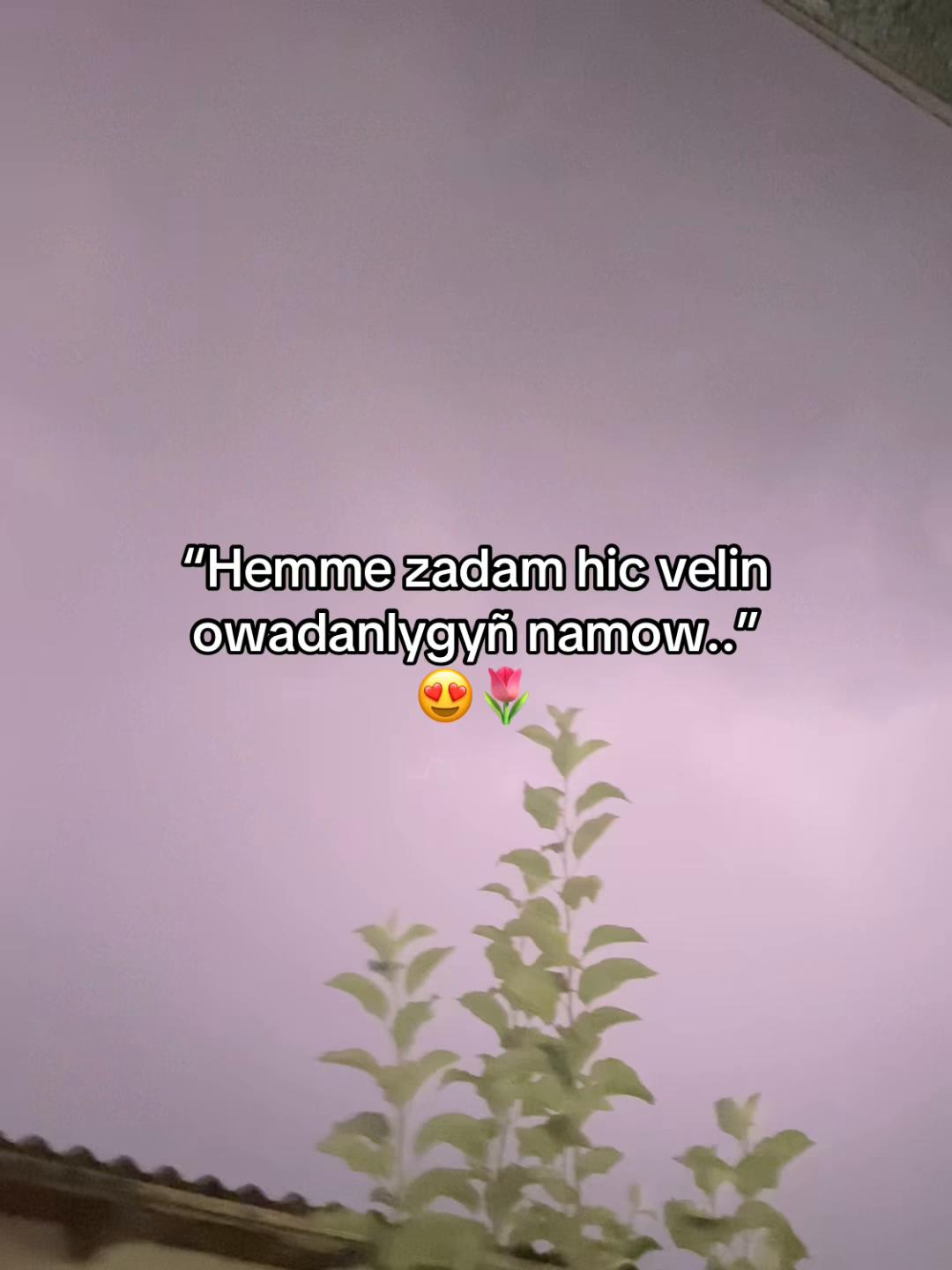 @ballyýevvv