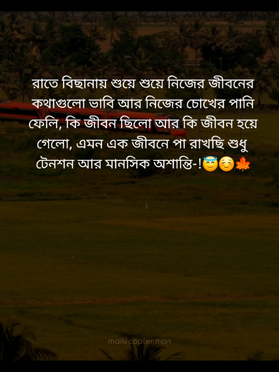 @mdlitonahmed380