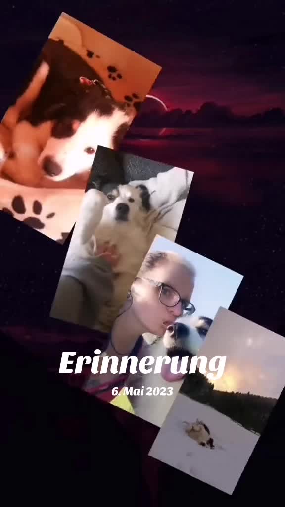 @Zahnfee
