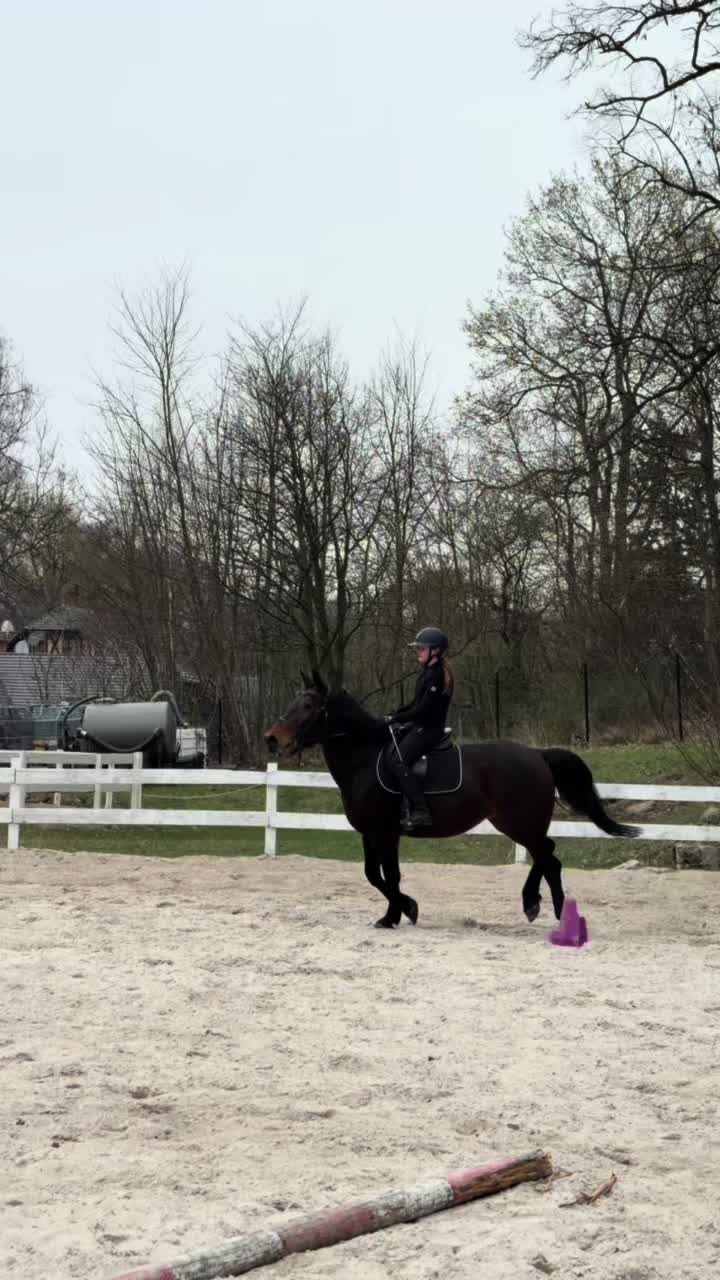 @🐴💗TA OD BELLI I ARY💗🐴
