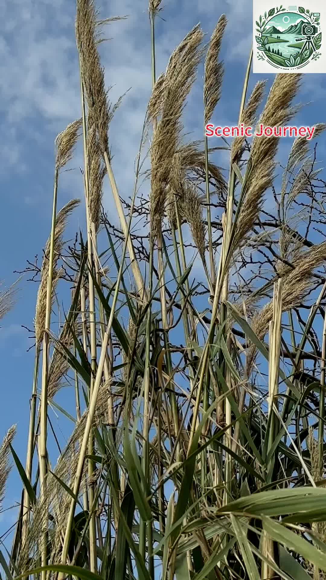 @JMRJY8