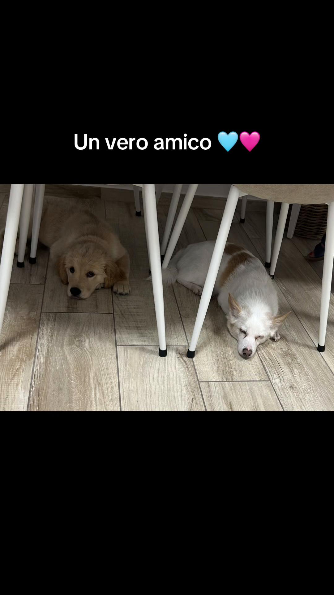 @Biscotto 🩵 Hermès