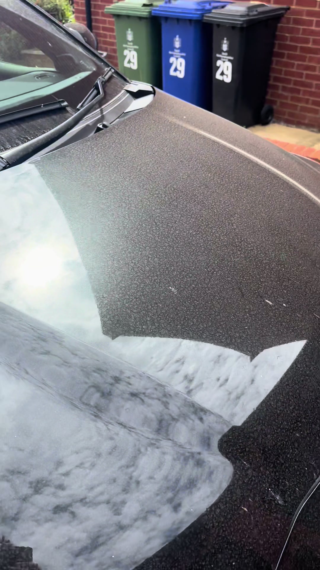 @JMS Detailing / smitanz