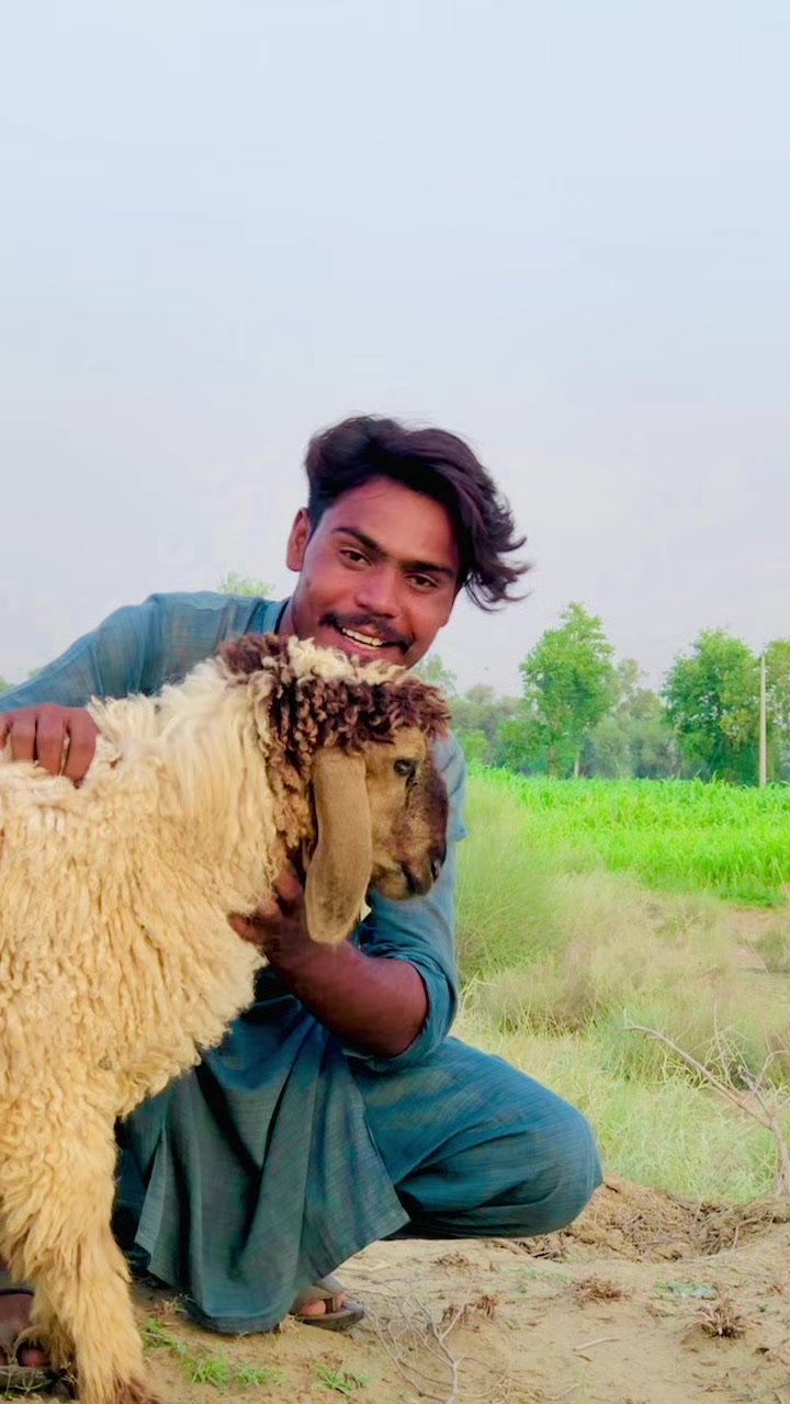 @rajveer 09