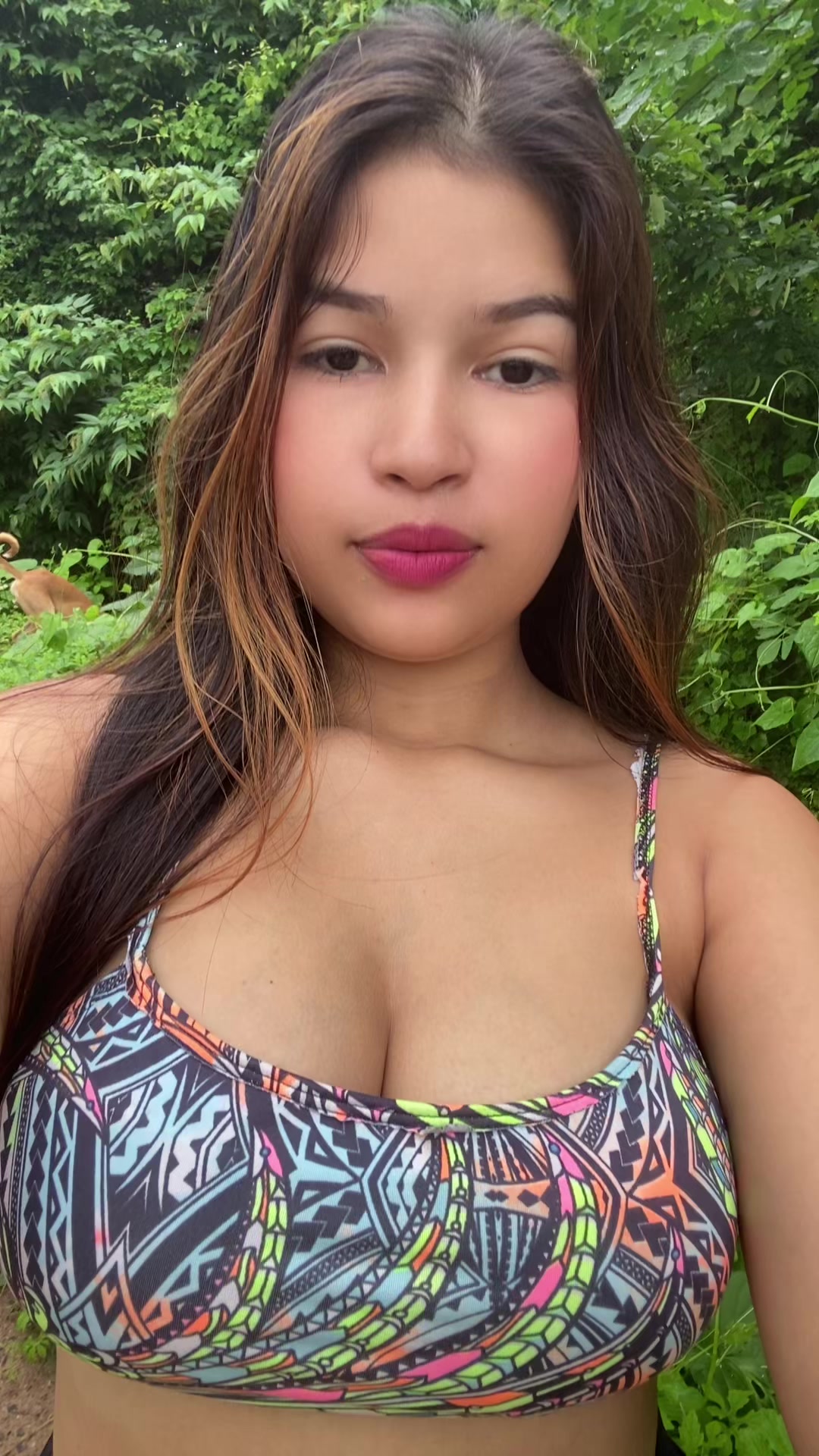 @gislnexx