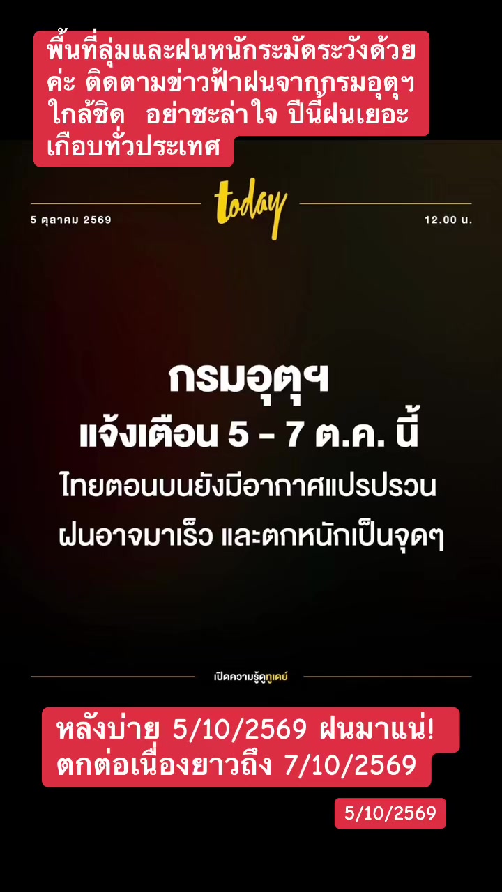 @ทาสแมว_News