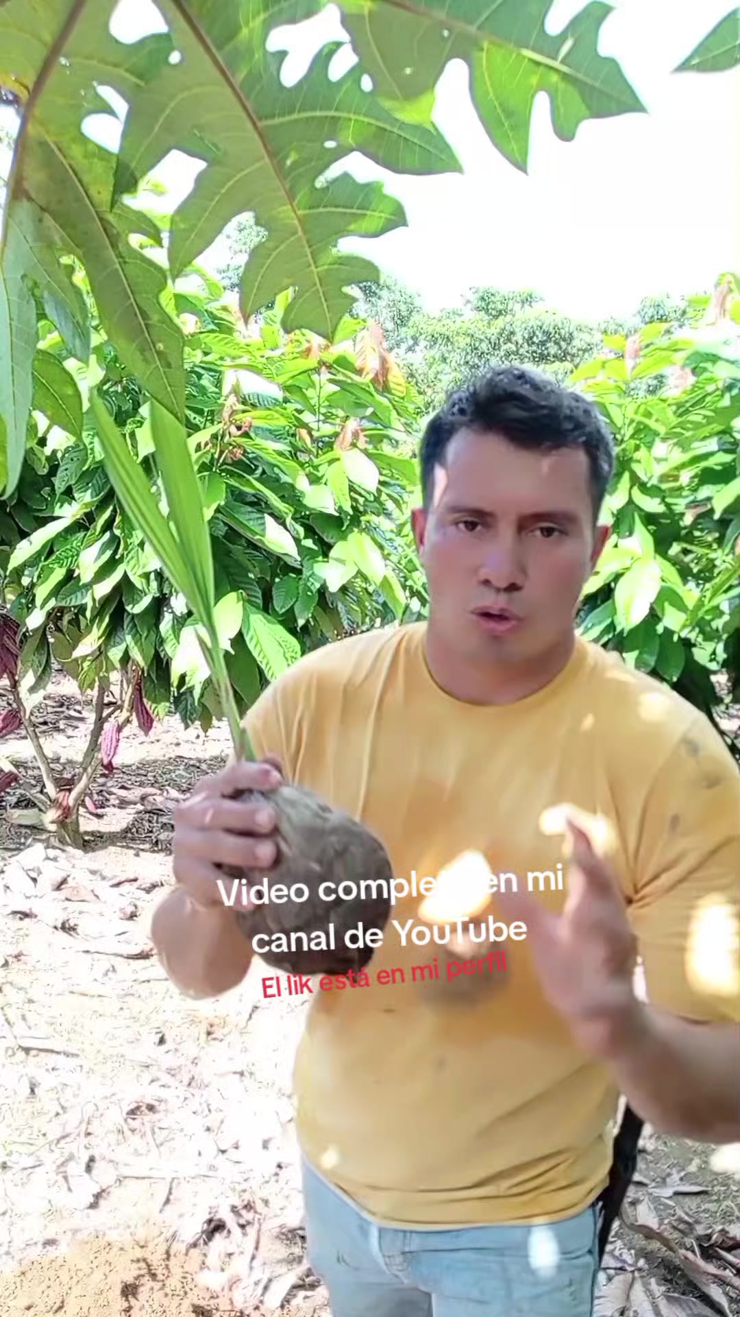 @Jairo desde el campo.