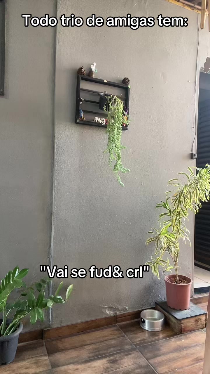 @Julia Rodrigues de C