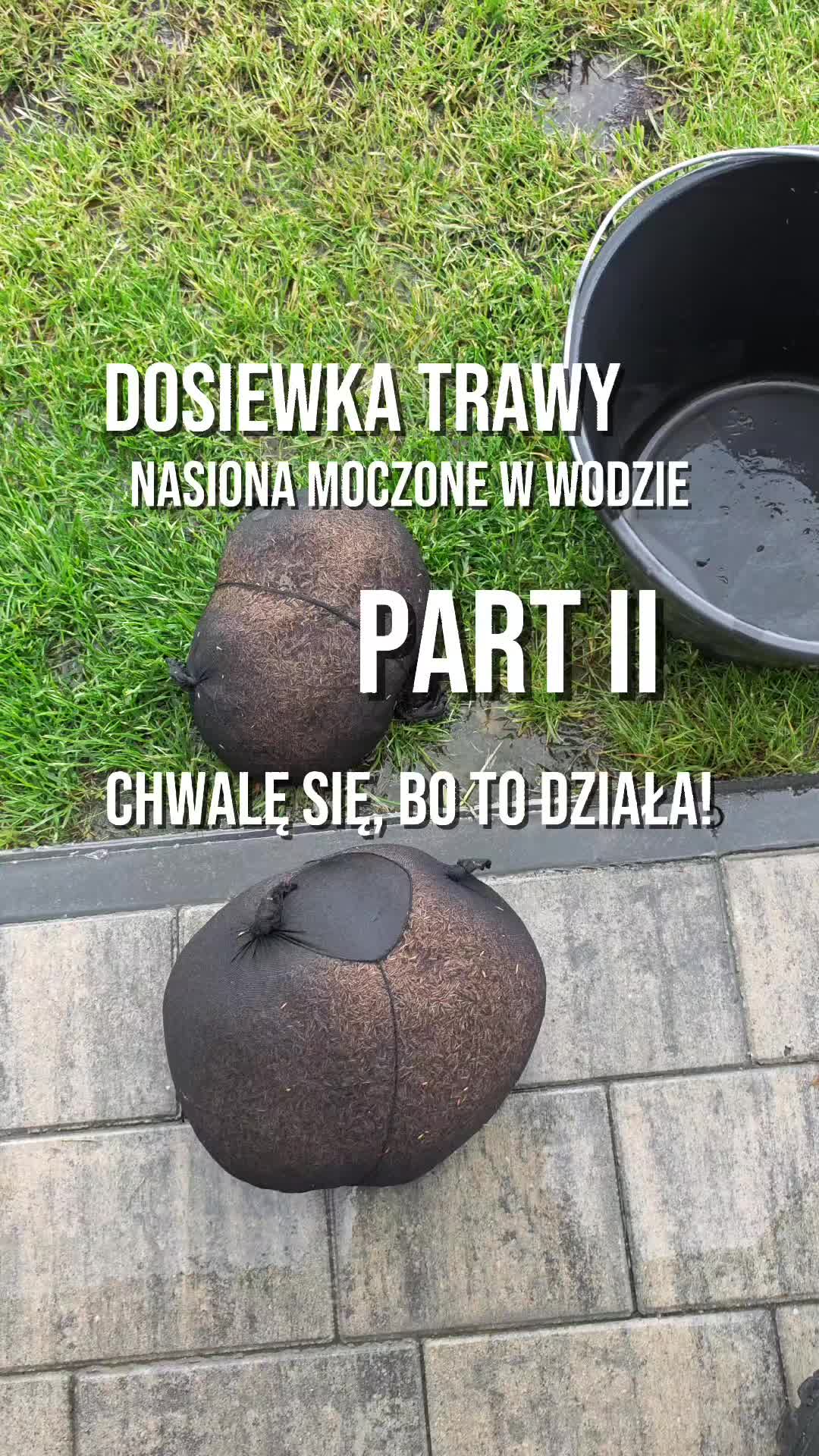 @moj_domszkieletowy