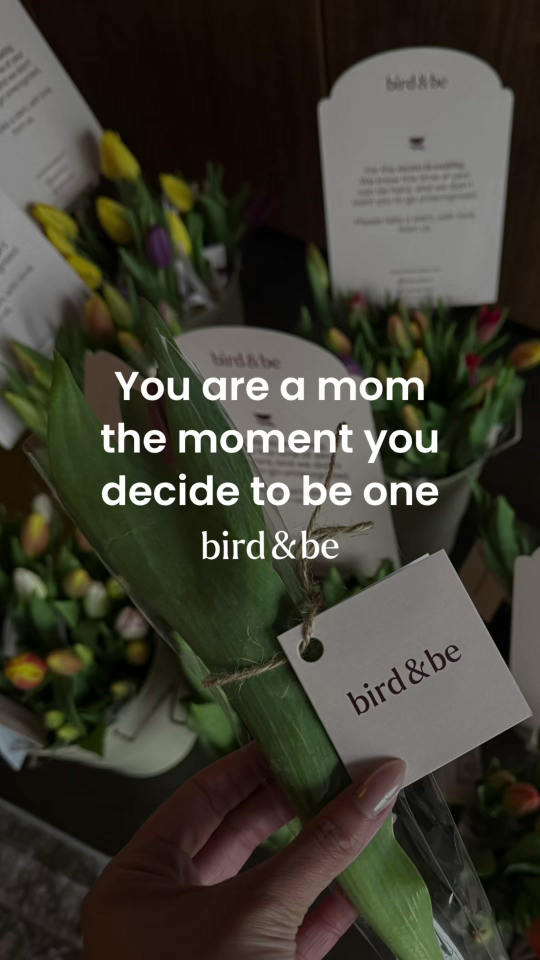 @Bird&Be
