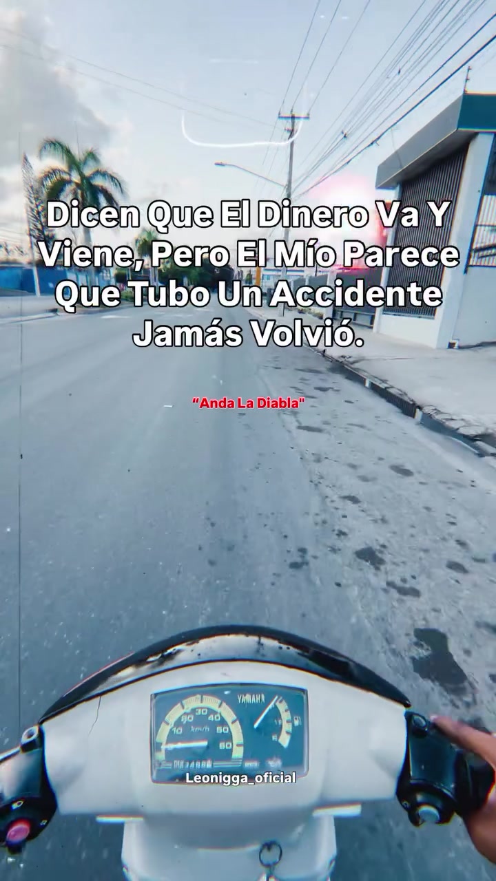 @leonigg2
