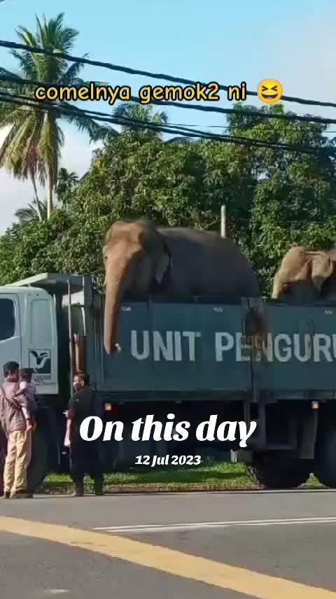 @AyuMasayu Kalamudin
