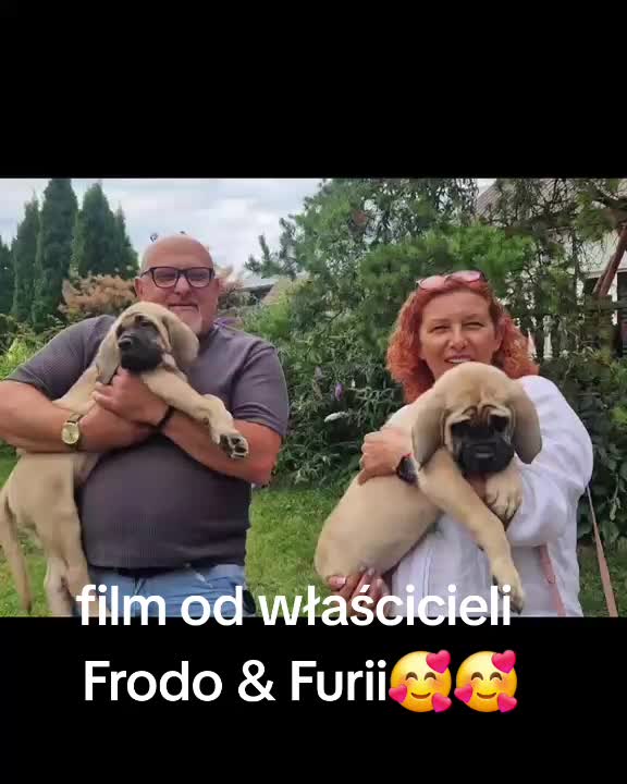 @Animal merwige fci