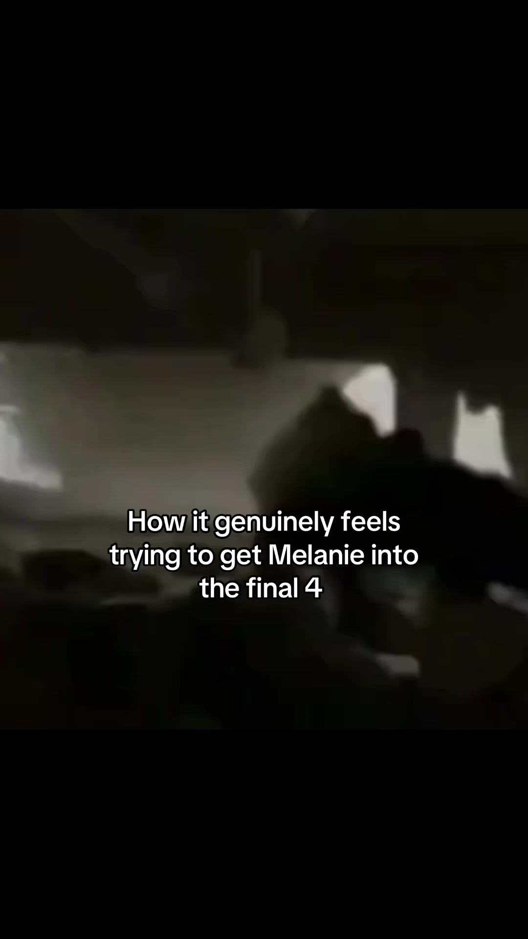 @🐋