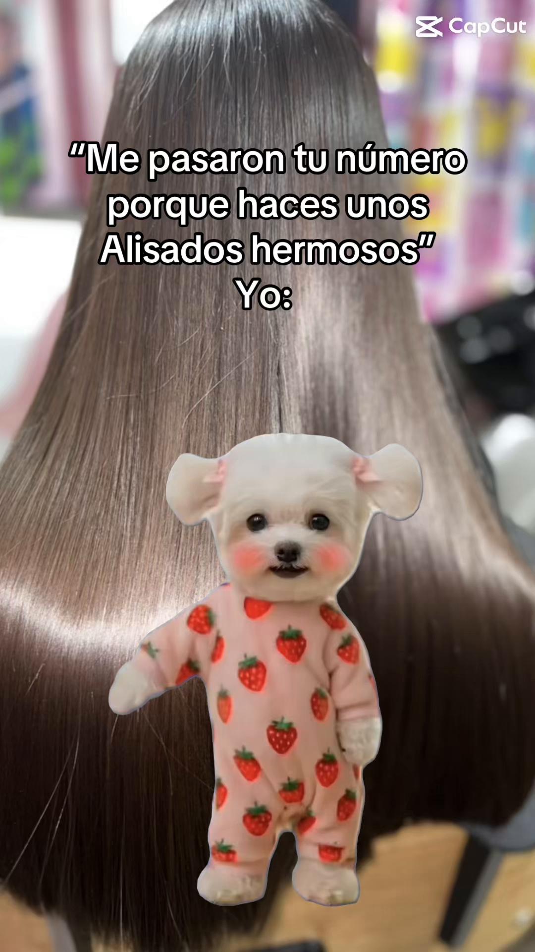 @Dafne Arrieta