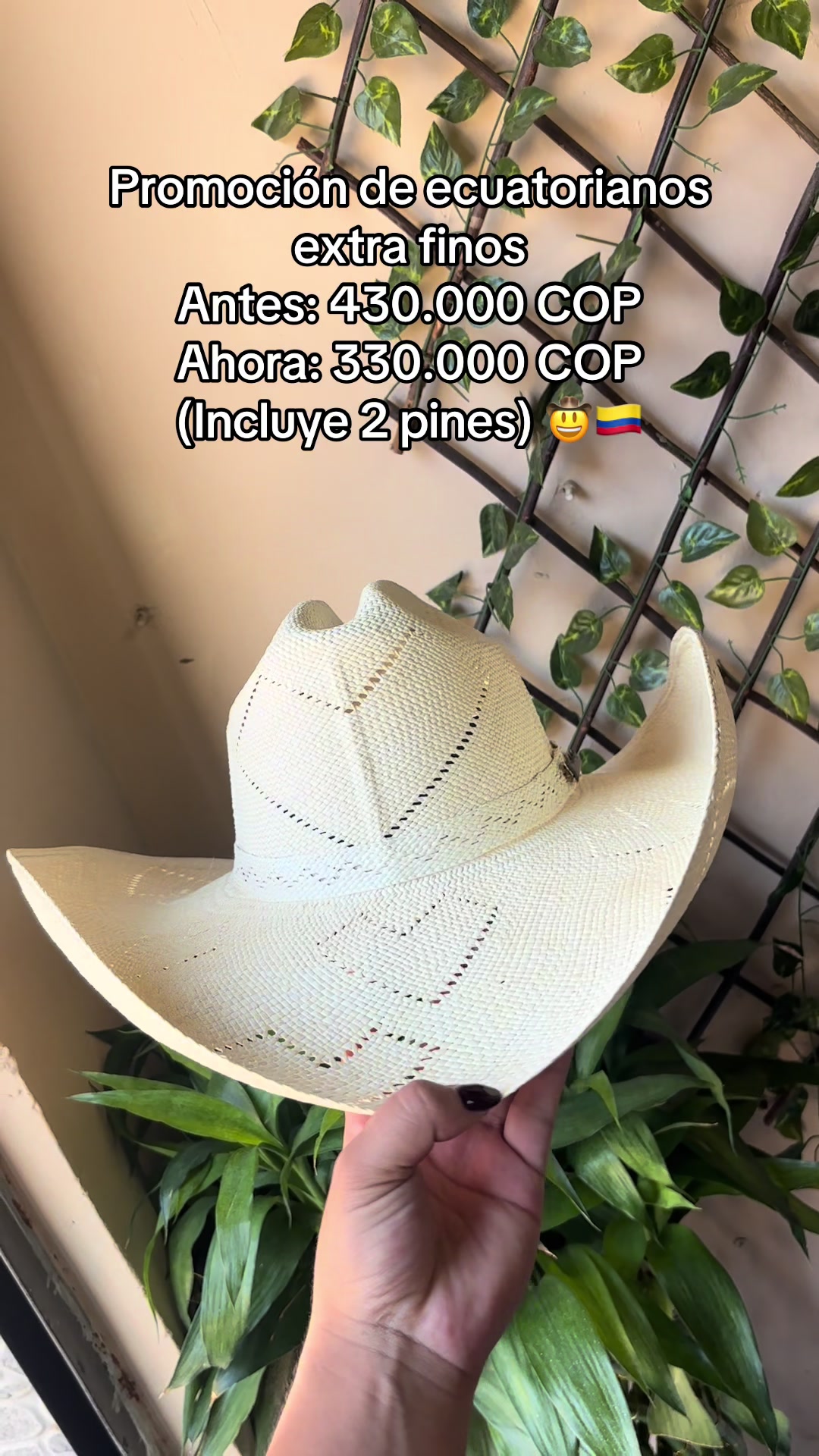 @universal_de_equinos