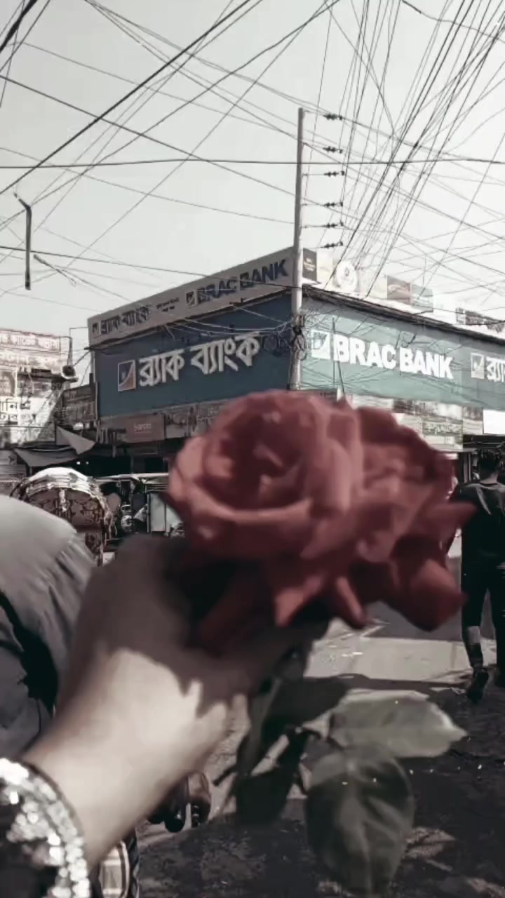 @Nodia🌷