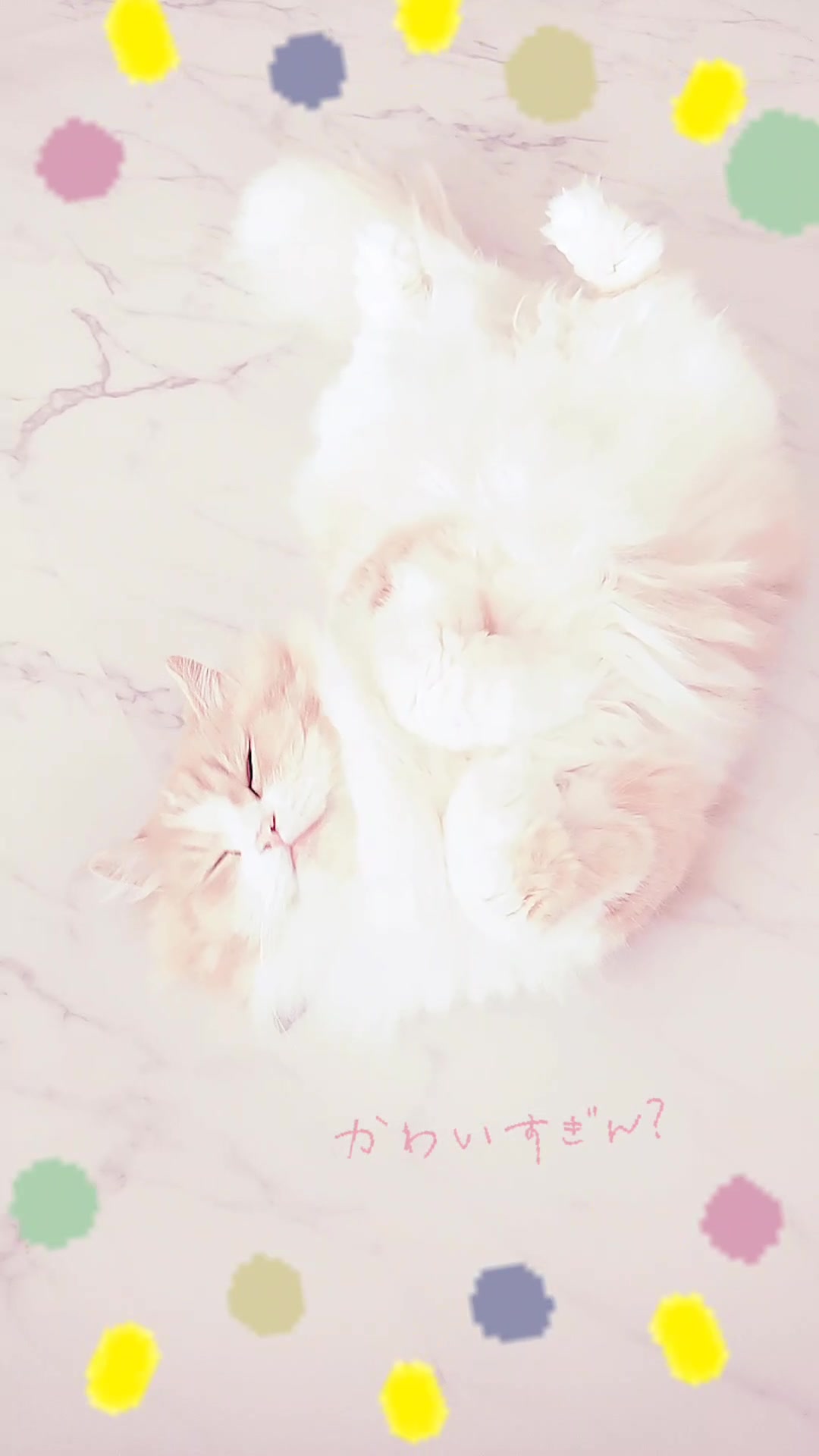 @ベコまま