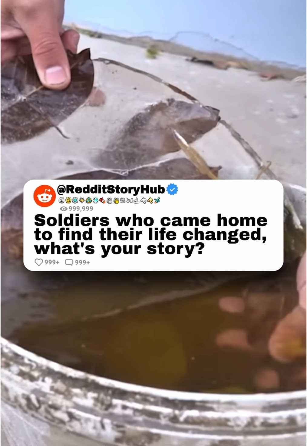 @Reddit_Story_Hub